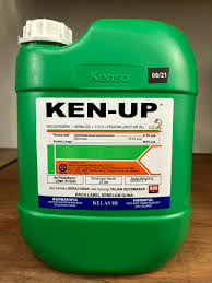 ken-up